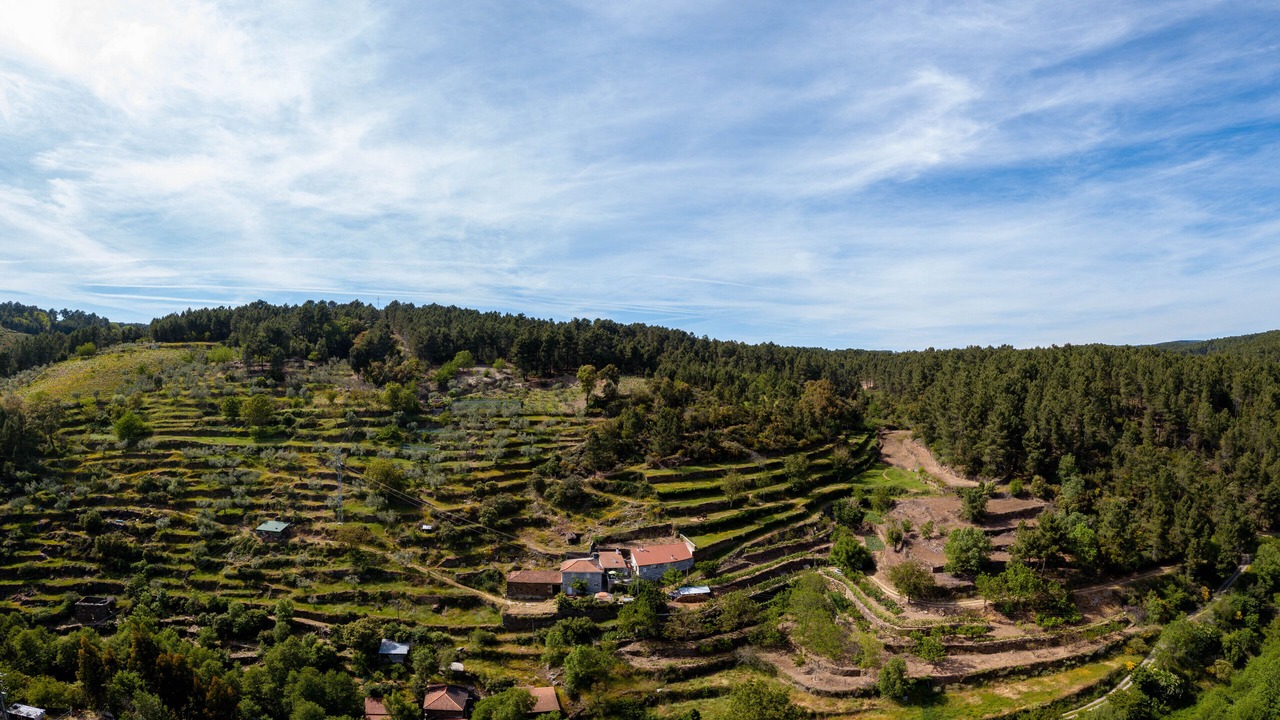 Photo of Outdoor in Vila Real