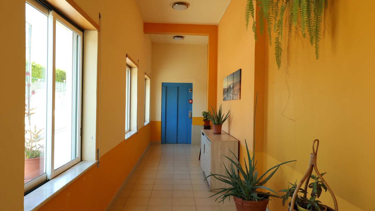 Photo of Others in Montenegro