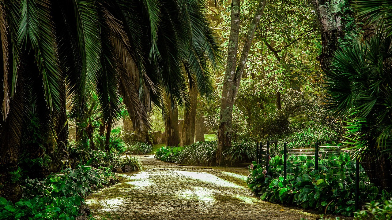 Photo of Outdoor in Sintra