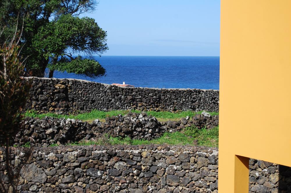 Photo of Others in Ponta Delgada