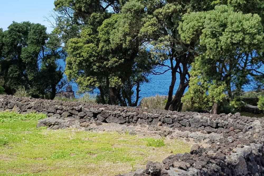 Photo of Outdoor in Ponta Delgada
