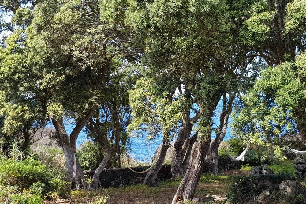 Photo of Outdoor in Ponta Delgada