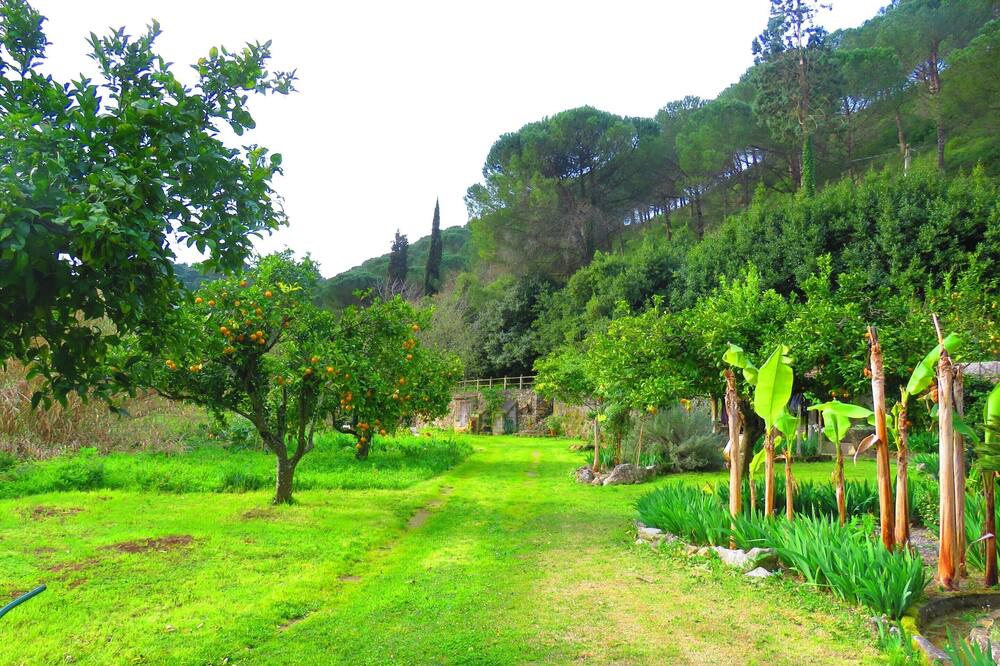Photo of Outdoor in Sao Joao Batista