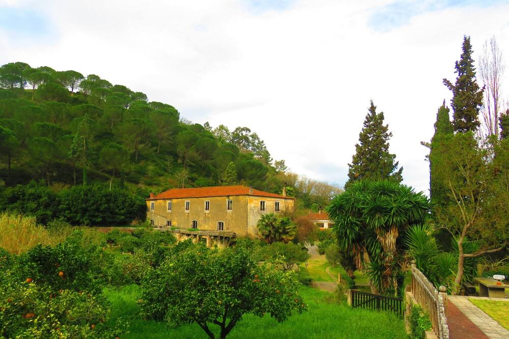 Photo of Others in Sao Joao Batista