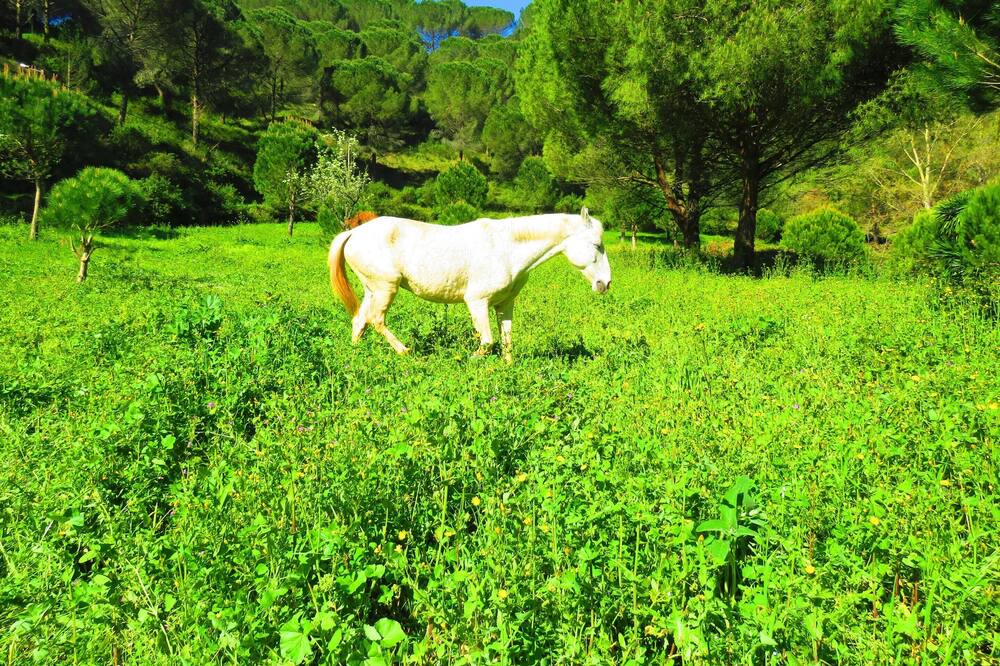 Photo of Outdoor in Sao Joao Batista