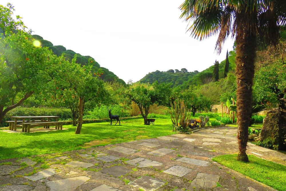 Photo of Outdoor in Sao Joao Batista
