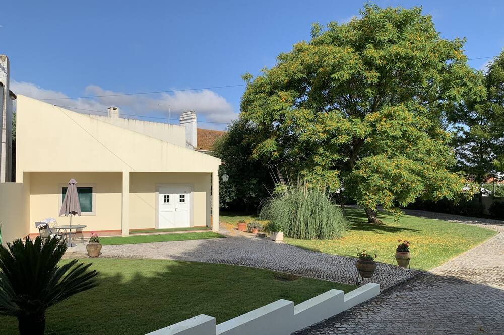 Photo of Outdoor in Alcanhoes