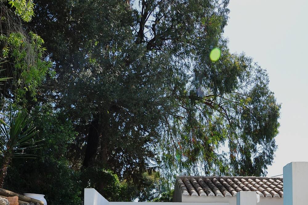 Photo of Outdoor in Guia