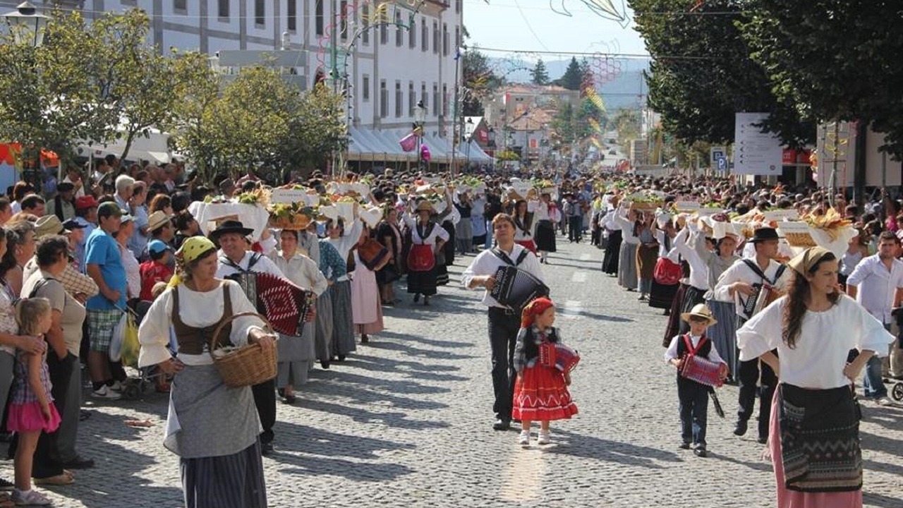 Photo of Outdoor in Arouca
