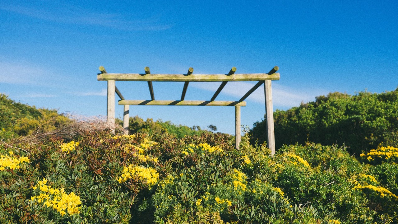 Photo of Outdoor in Fornos