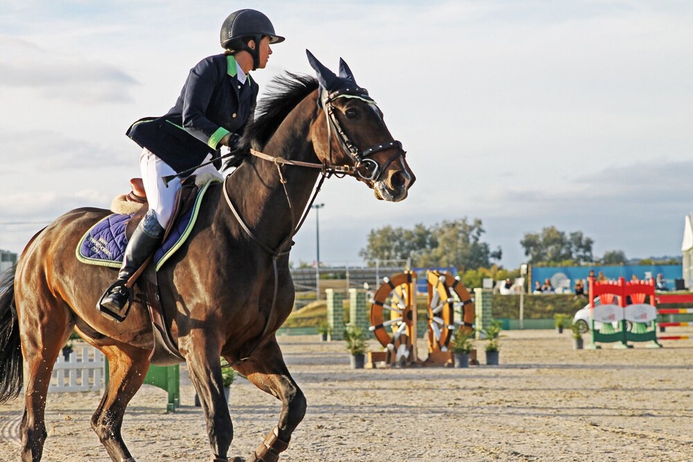 Photo of Others in Vilamoura