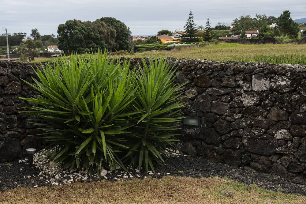 Photo of Outdoor in Capelas