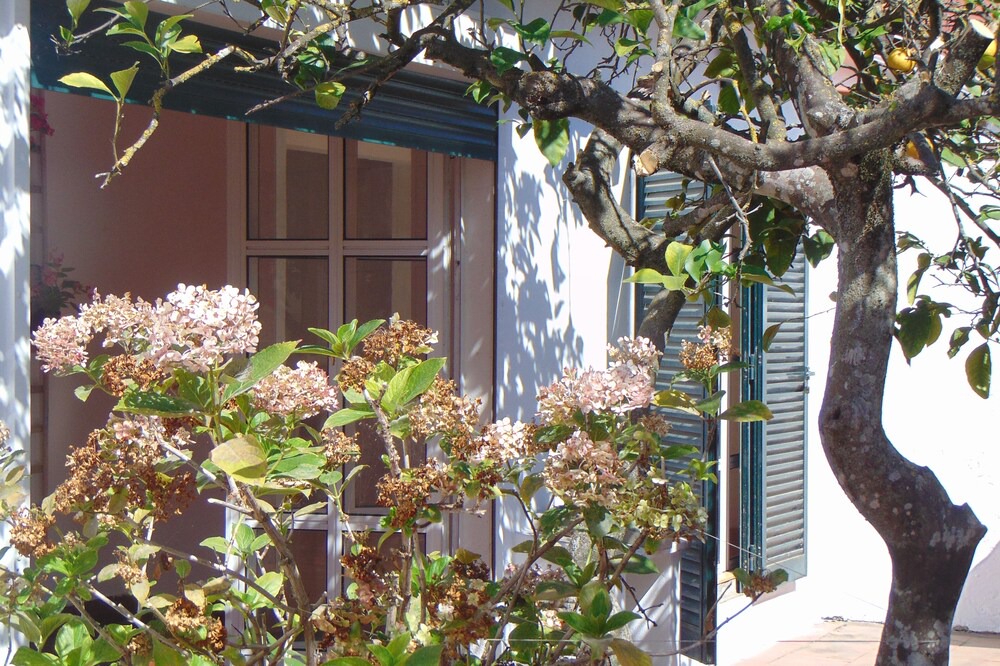 Photo of Outdoor in Setubal