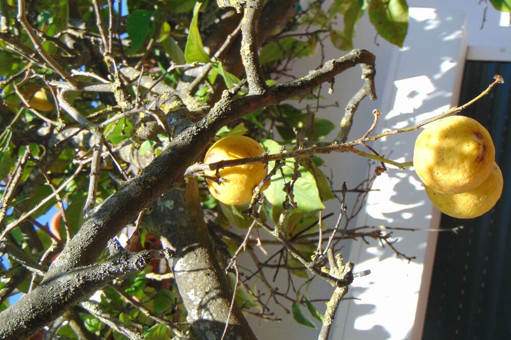 Photo of Outdoor in Setubal