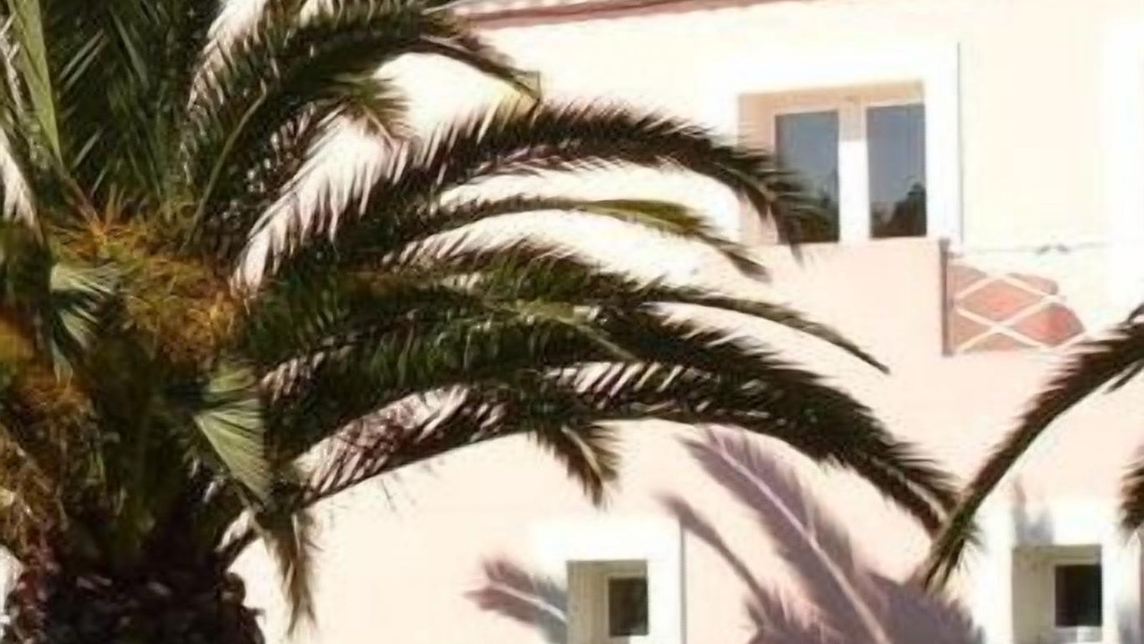 Photo of Outdoor in Fao