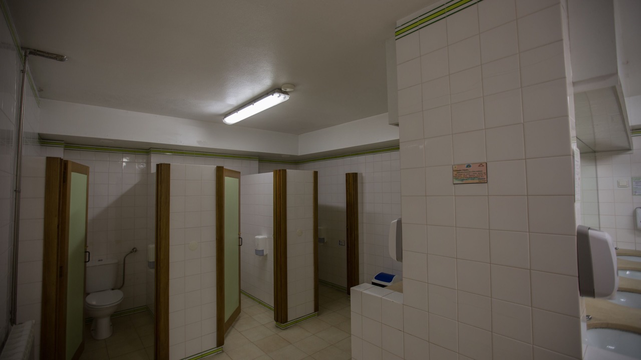 Photo of Others in Fao