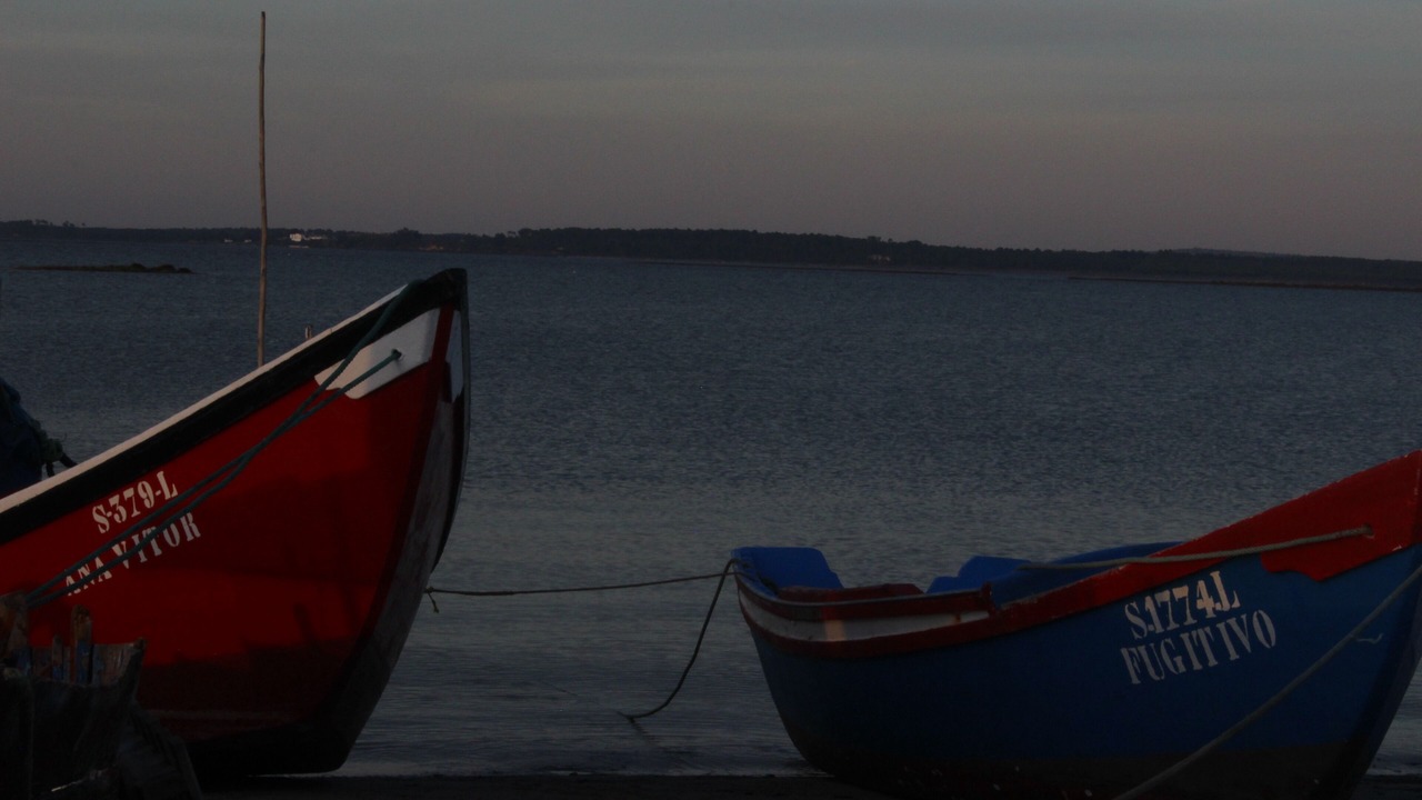 Photo of Outdoor in Alcacer do Sal