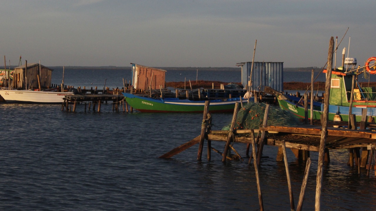 Photo of Outdoor in Alcacer do Sal