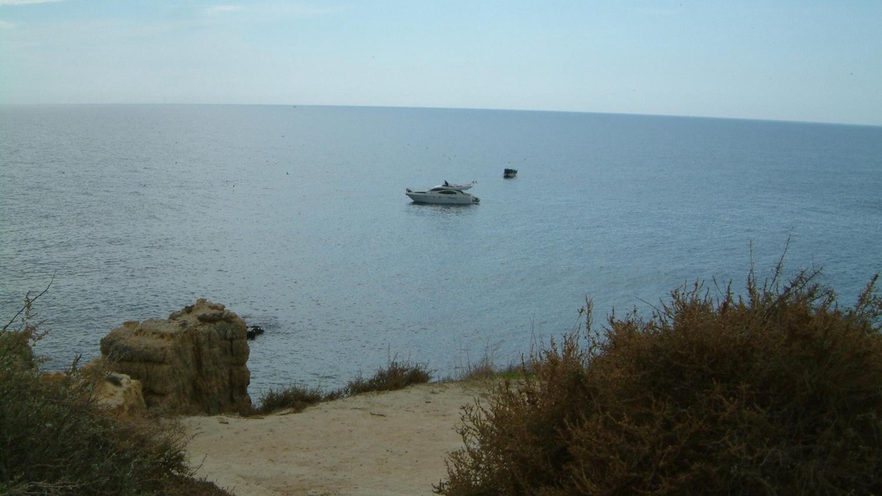 Photo of Others in Sesmarias