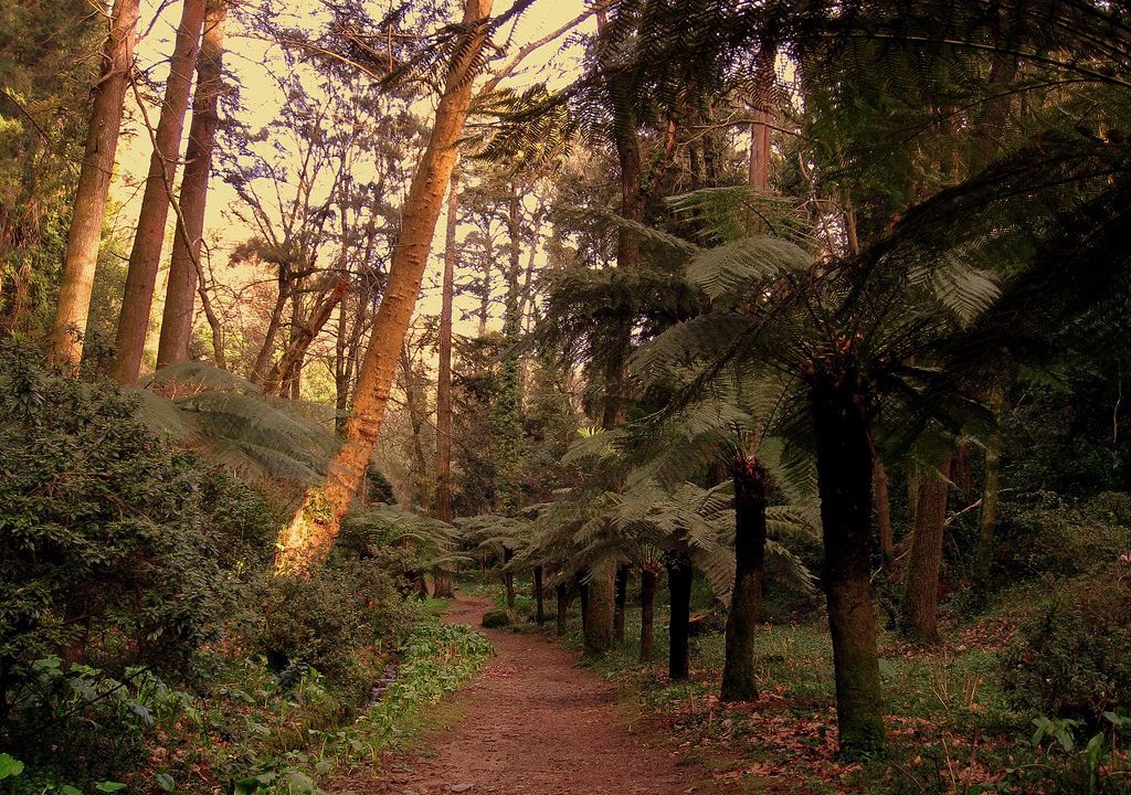 Photo of Outdoor in Luso