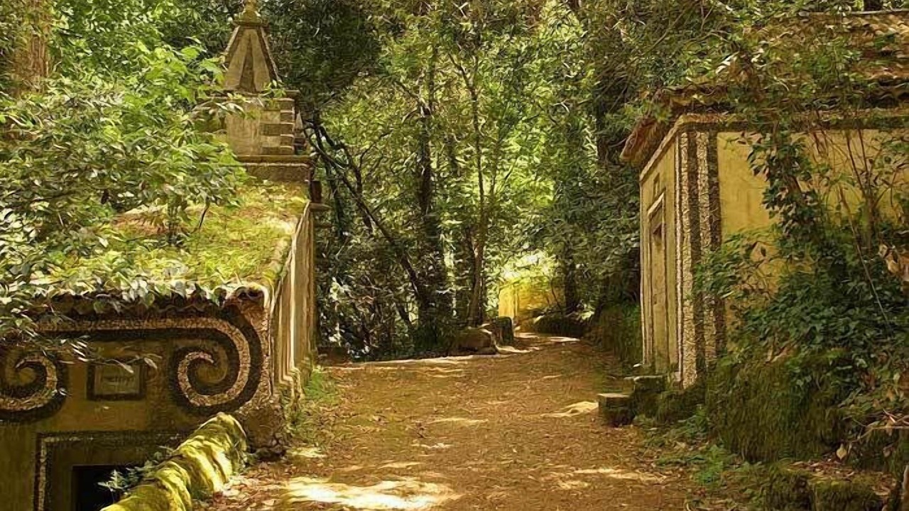 Photo of Outdoor in Luso