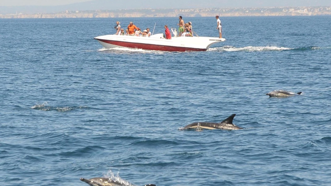 Photo of Others in Telheiro