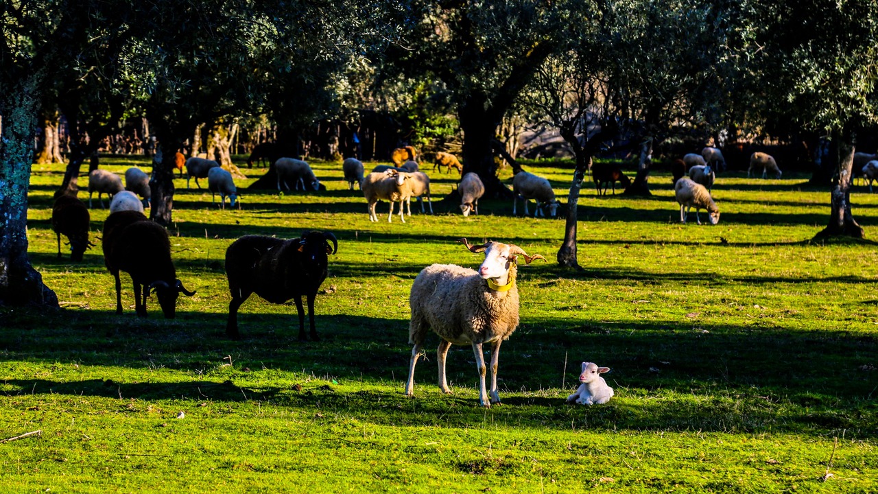 Photo of Others in Caldas da Felgueira
