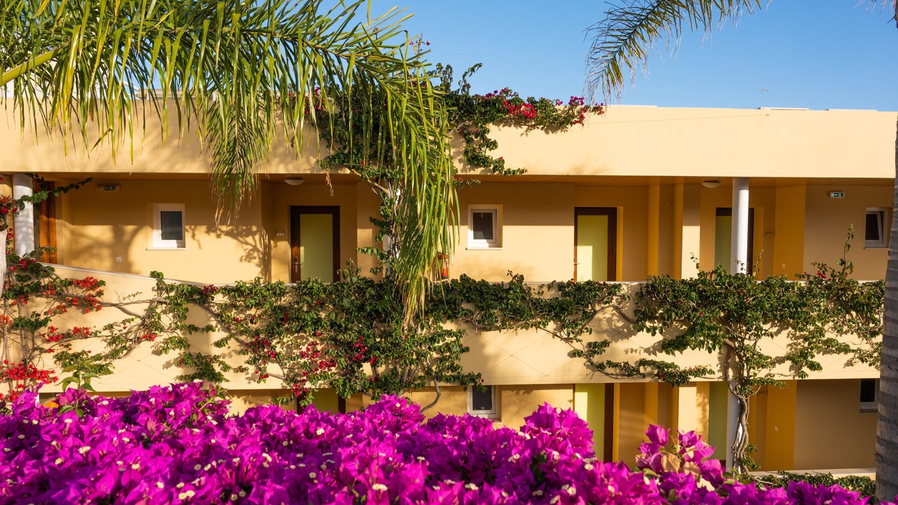 Photo of Outdoor in Luz