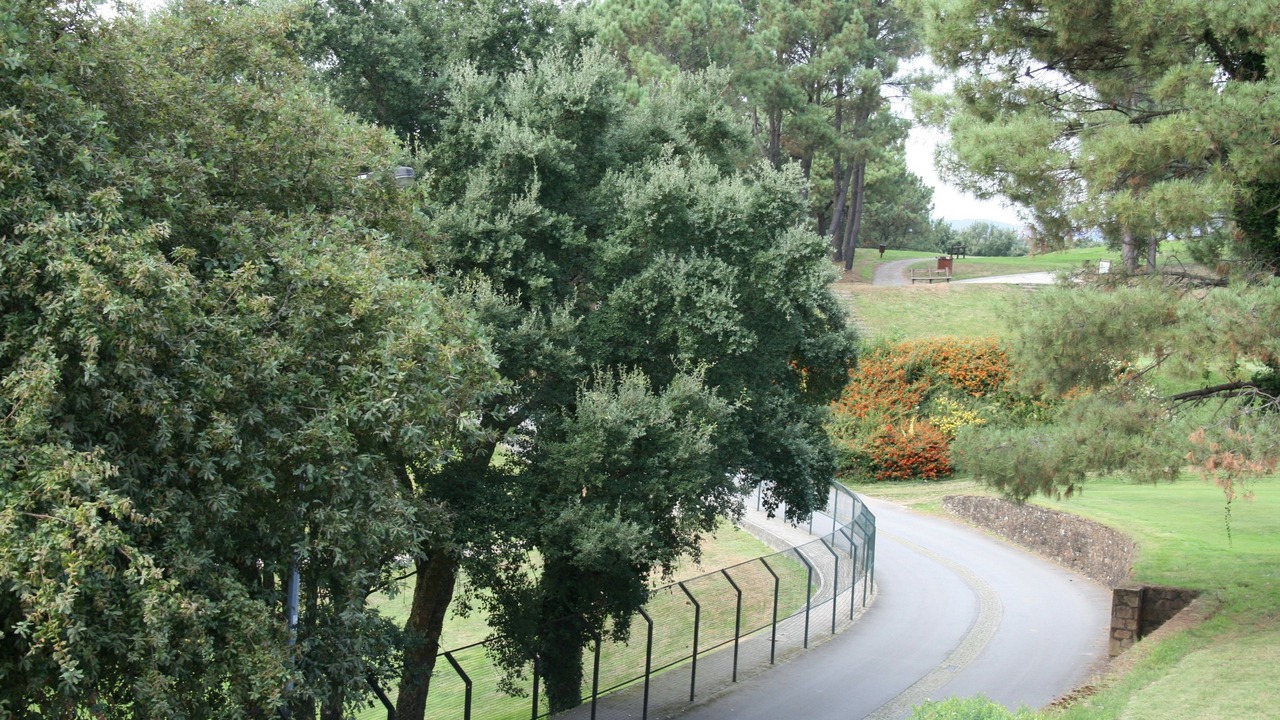 Photo of Patio Balcony in Ponte de Lima