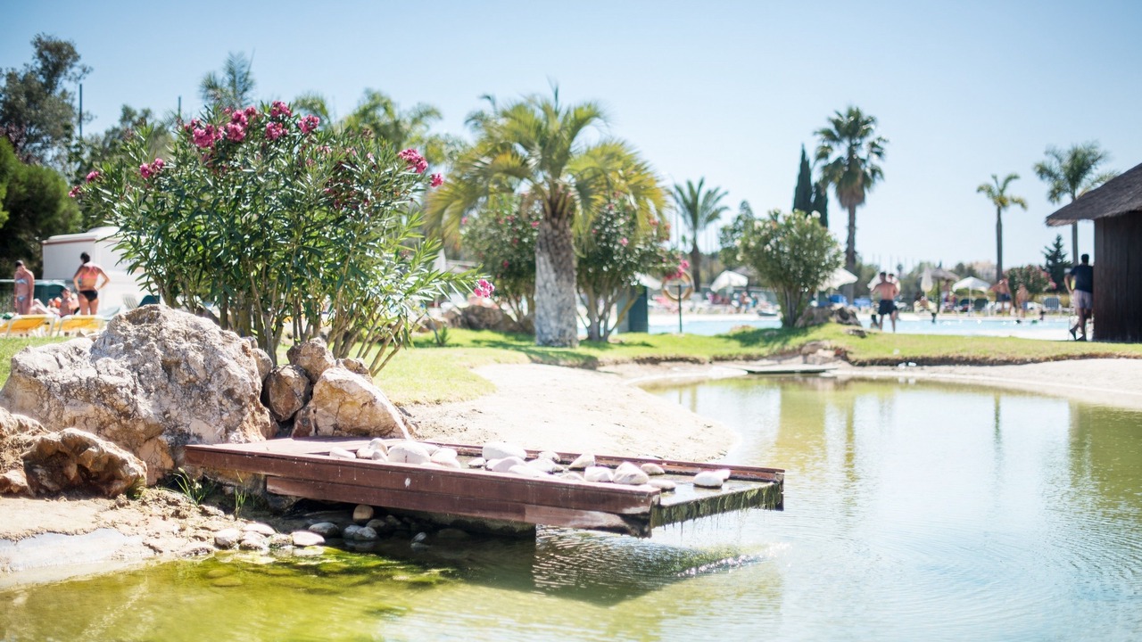 Photo of Others in Alvor