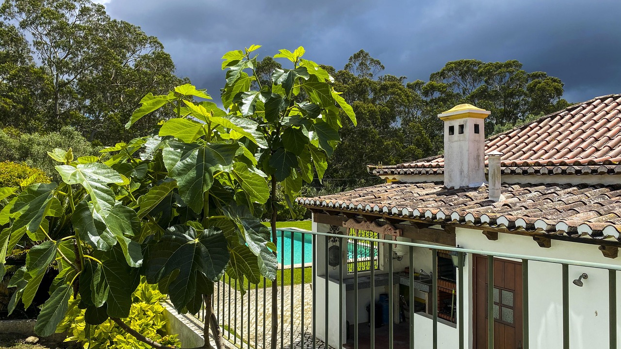 Photo of Outdoor in Santa Maria e Sao Miguel