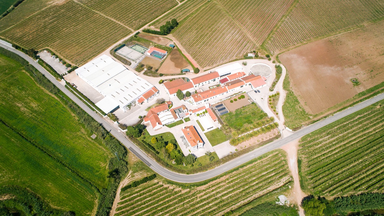 Photo of Outdoor in Lourinha