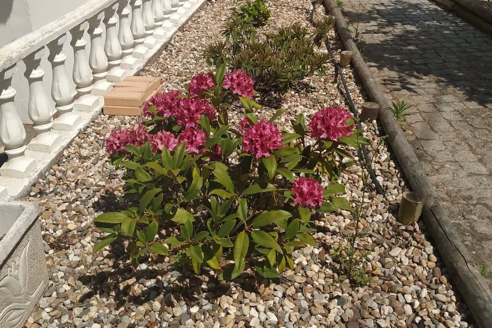 Photo of Outdoor in Penela