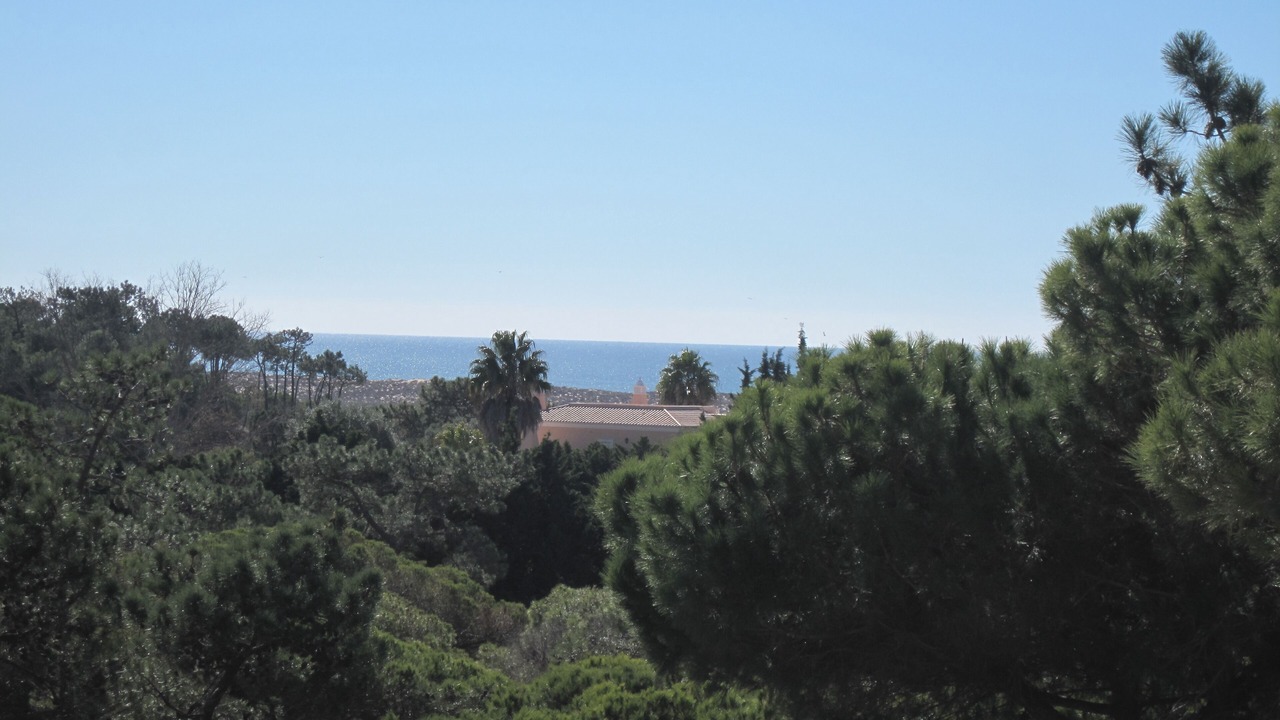 Photo of Others in Quinta do Lago