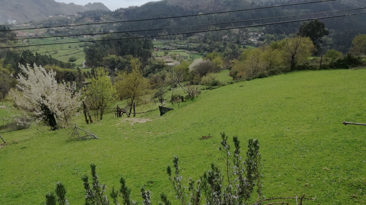Photo of Others in Carvalheira