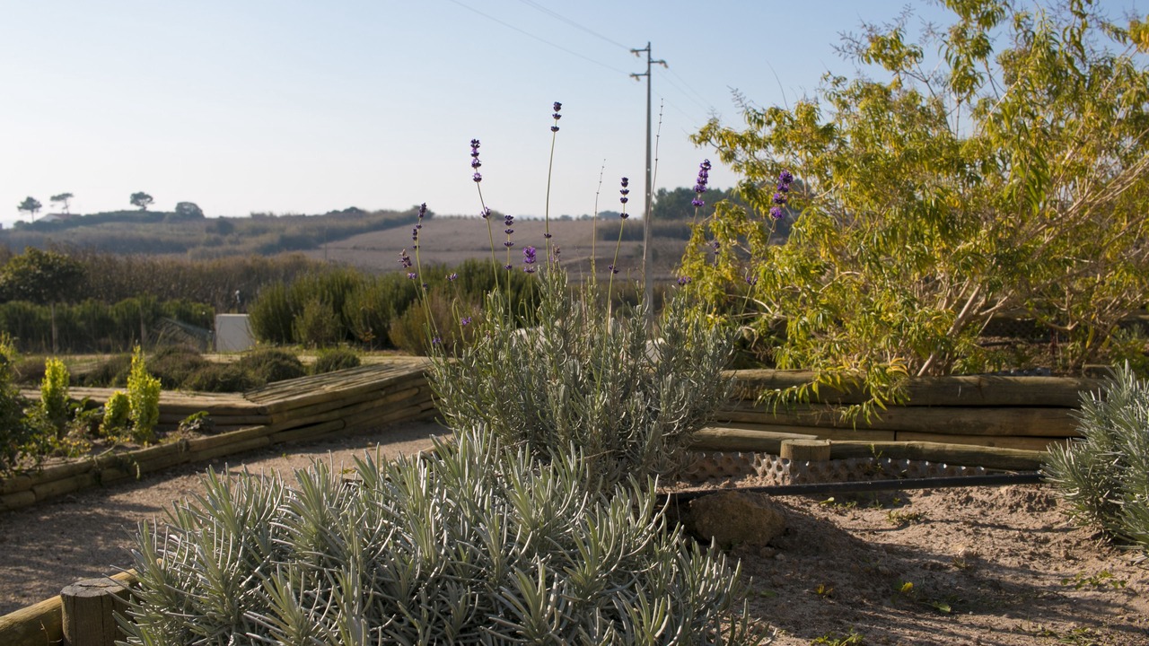 Photo of Outdoor in Amoreira