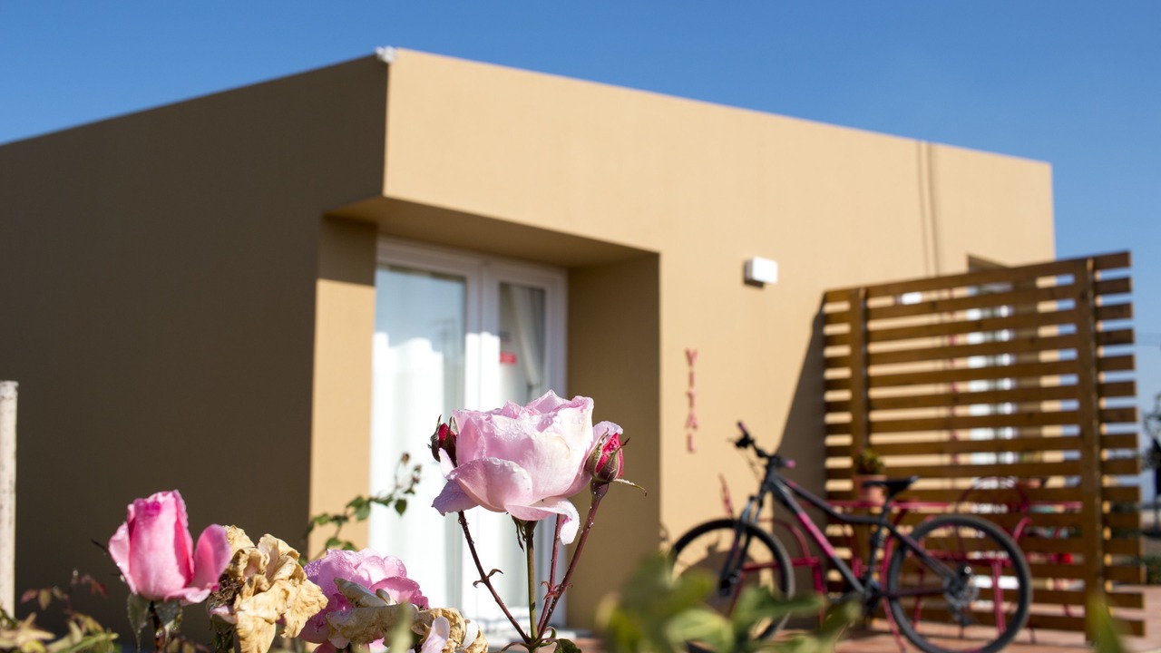 Photo of Outdoor in Amoreira