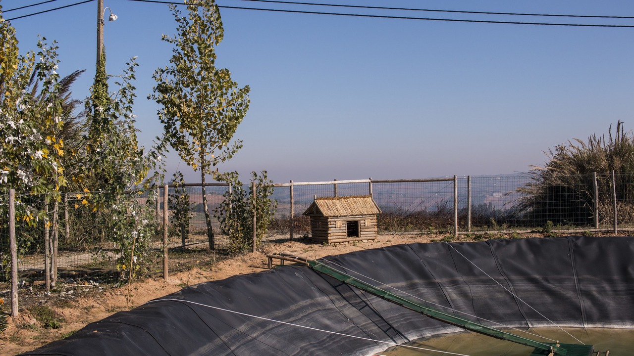 Photo of Outdoor in Amoreira