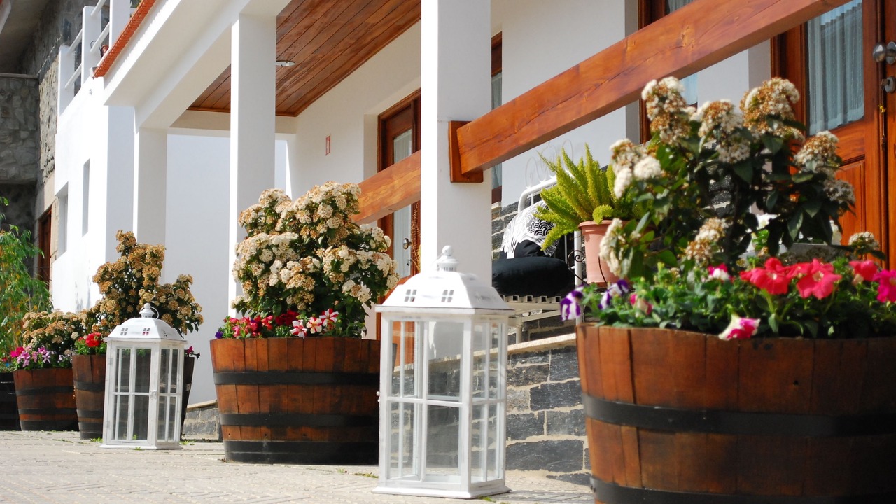 Photo of Outdoor in Lamego