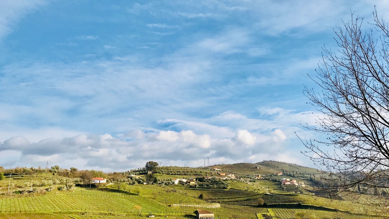 Photo of Outdoor in Lamego