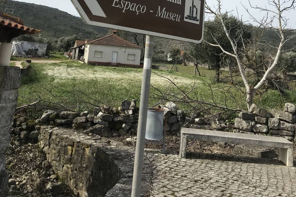 Photo of Outdoor in Penela