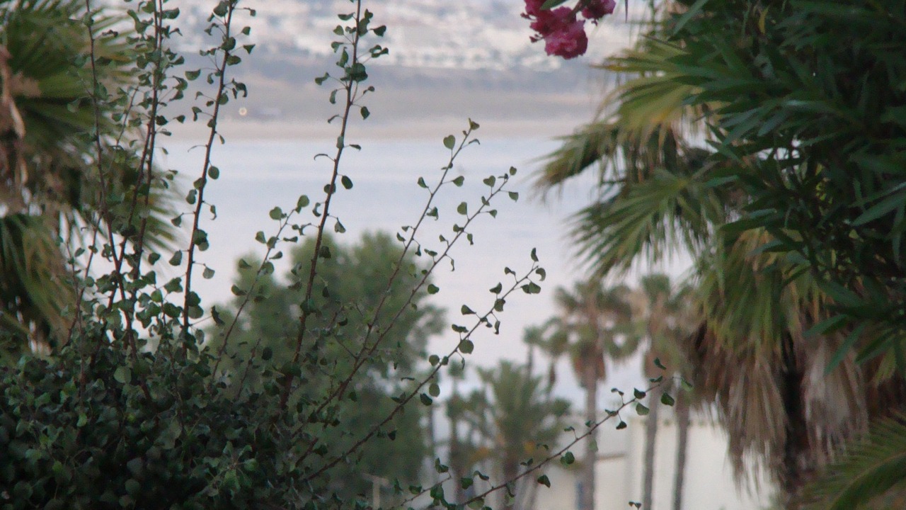 Photo of Outdoor in Alporchinhos
