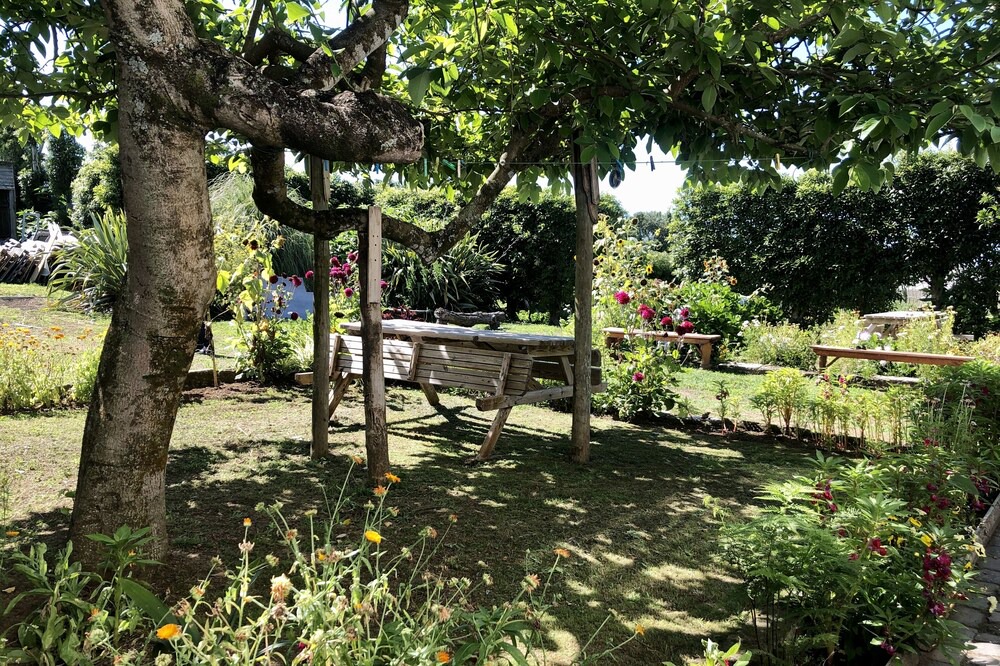 Photo of Outdoor in Ribeira Grande