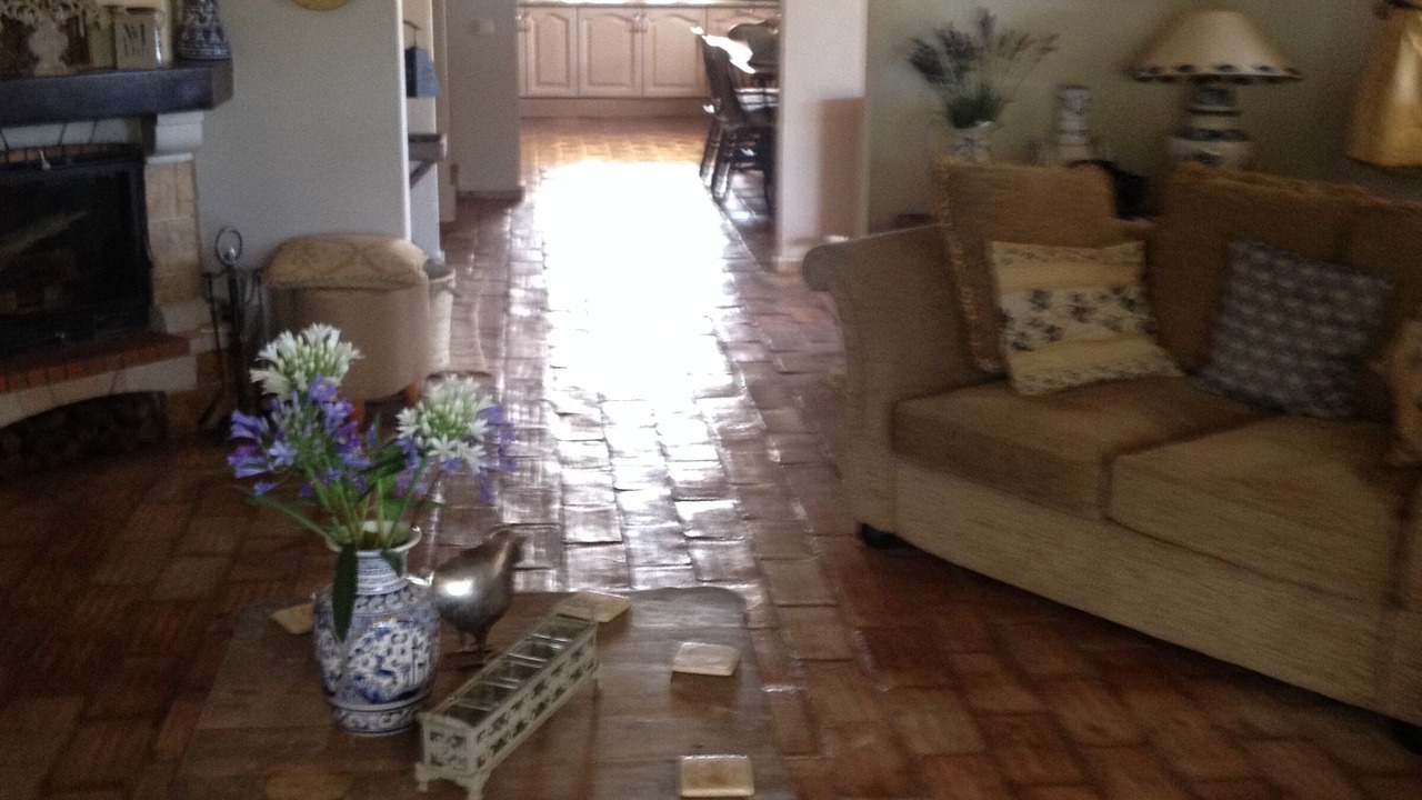 Photo of Livingroom in Apra