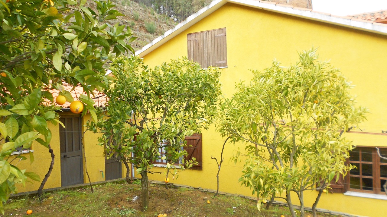 Photo of Outdoor in Vila Marim