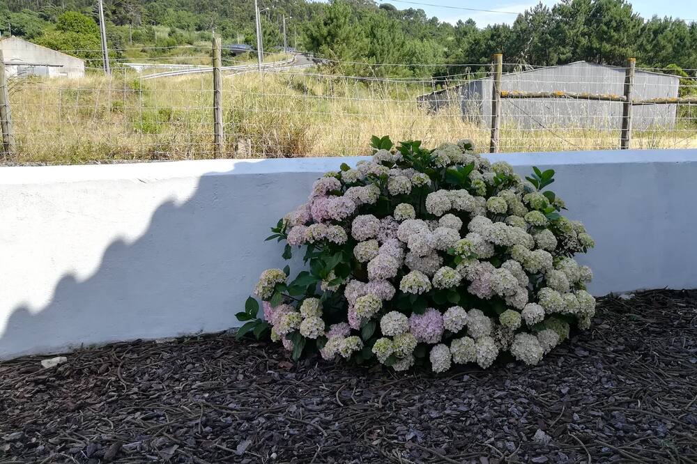 Photo of Outdoor in Famalicao
