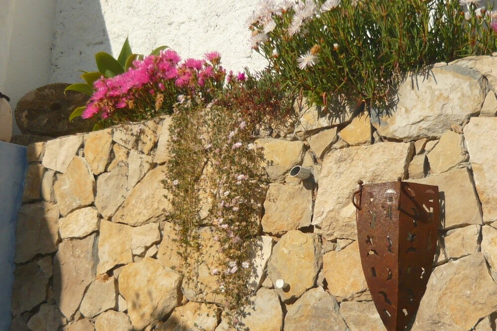 Photo of Others in Ferragudo