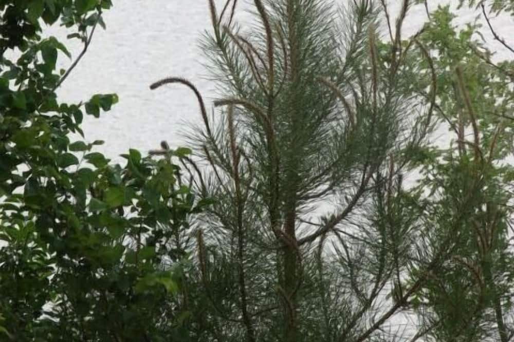 Photo of Outdoor in Negroes
