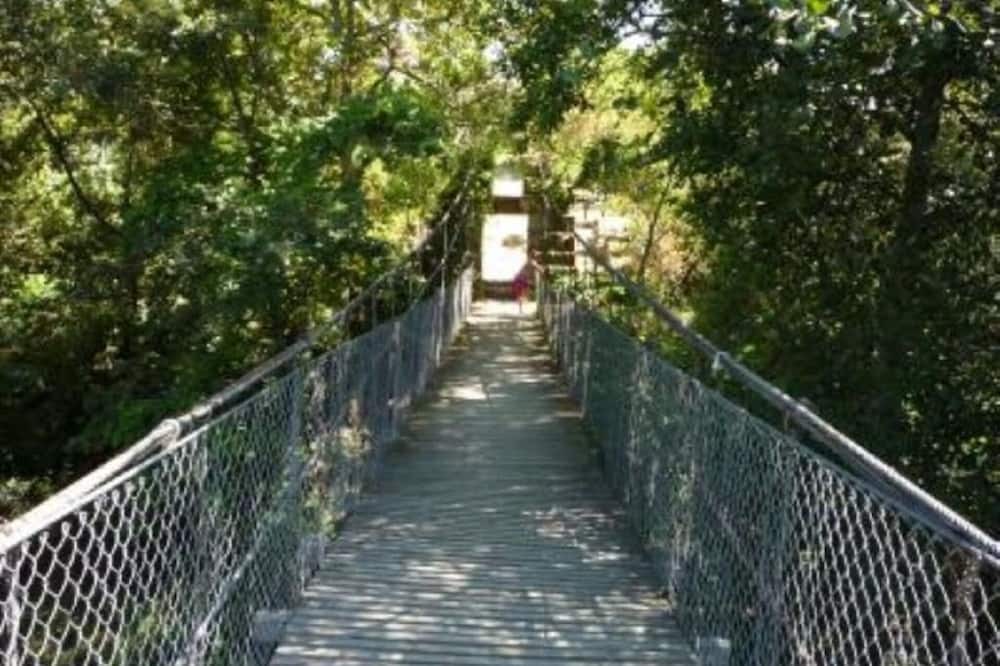 Photo of Outdoor in Ribeira de Pena