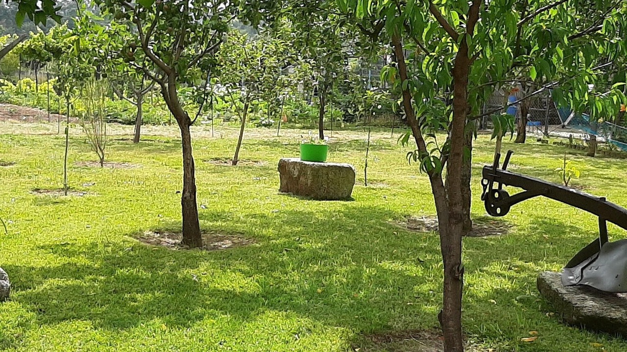 Photo of Outdoor in Cardielos